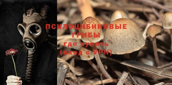 а пвп мука Балахна