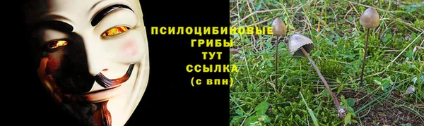 а пвп мука Балахна