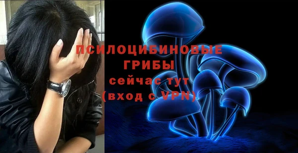 а пвп мука Балахна